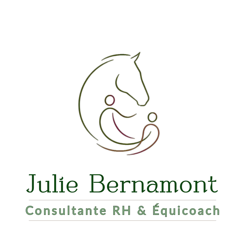 JB Consulting
