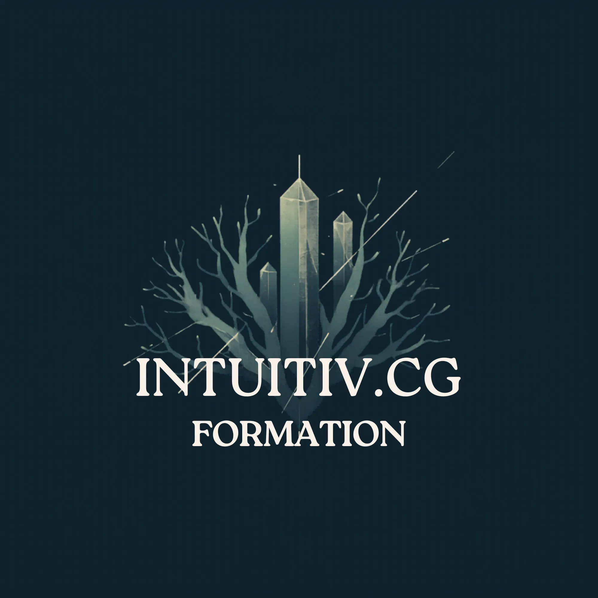 INTUITIVCG FORMATION