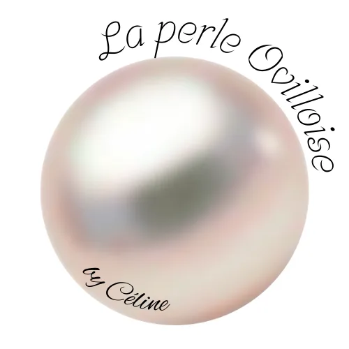 La perle Ovilloise by Céline